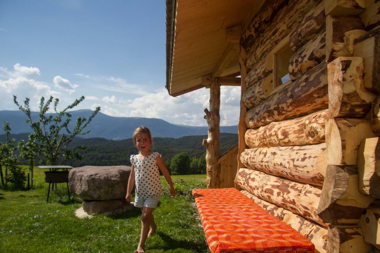 Willa Tomasoethof Castelrotto Zewnętrze zdjęcie